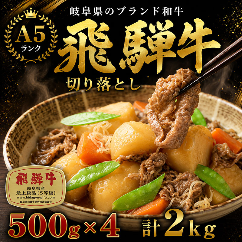 飛騨牛 牛肉 切り落とし 500g×4 計2kg A5 和牛 焼肉 もも肉 モモ バラ カルビ お肉 ブランド和牛 