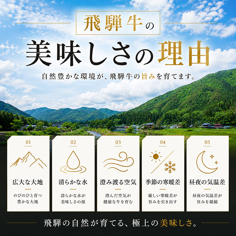 飛騨牛 牛肉 切り落とし 500g×4 計2kg A5 和牛 焼肉 もも肉 モモ バラ カルビ お肉 ブランド和牛 
