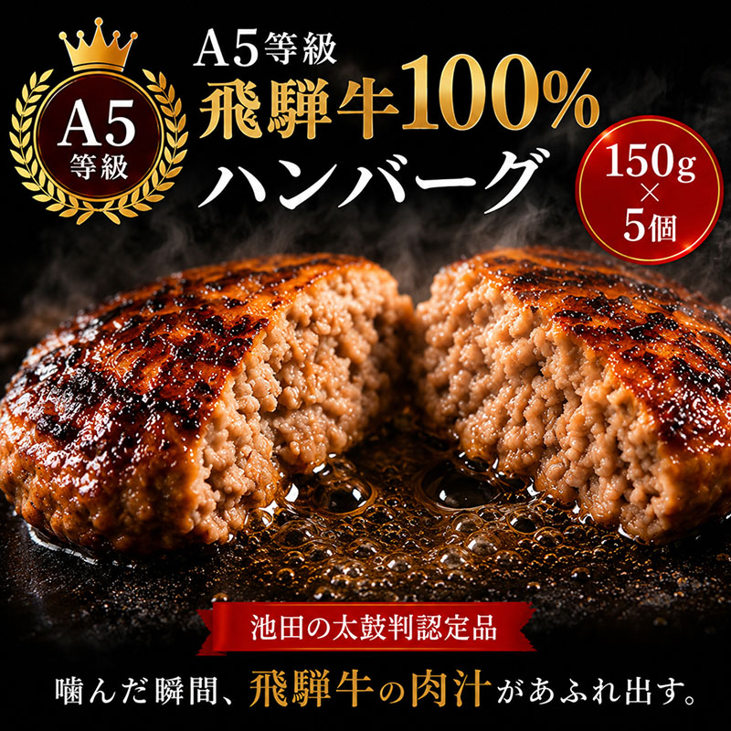 ふるさと納税　飛騨牛 ハンバーグ ロースバーグ 150g×5枚 計750g  和牛