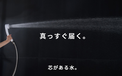【27008】 ビューク シャワーヘッド 【 塩素低減カートリッジ付 | ミスト＋ストレート 】  日本製 ｜ ドリームバンク 公式