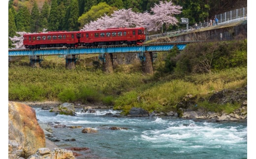 【60155】観光列車 ながら ランチプラン 予約券 乗車券 シングル