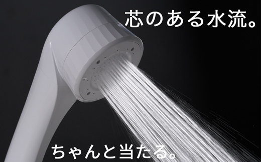 【27008】 ビューク シャワーヘッド 【 塩素低減カートリッジ付 | ミスト＋ストレート 】  日本製 ｜ ドリームバンク 公式