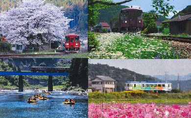 【12045】長良川鉄道全線１日フリー乗車証