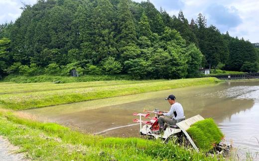 【令和6年産】農薬・化学肥料不使用　オータニ農業の『いのちの壱』精米10kg【10月下旬発送開始】