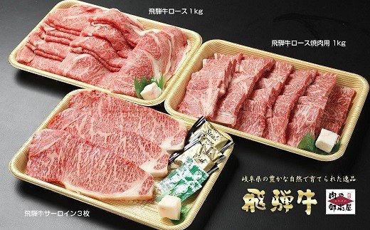 【定期便6回】飛騨牛食べ比べセット 豪華14品目 和牛 お肉 牛肉 A5 ロース サーロイン ステーキ すき焼き しゃぶしゃぶ 焼肉 焼豚 煮豚 角煮