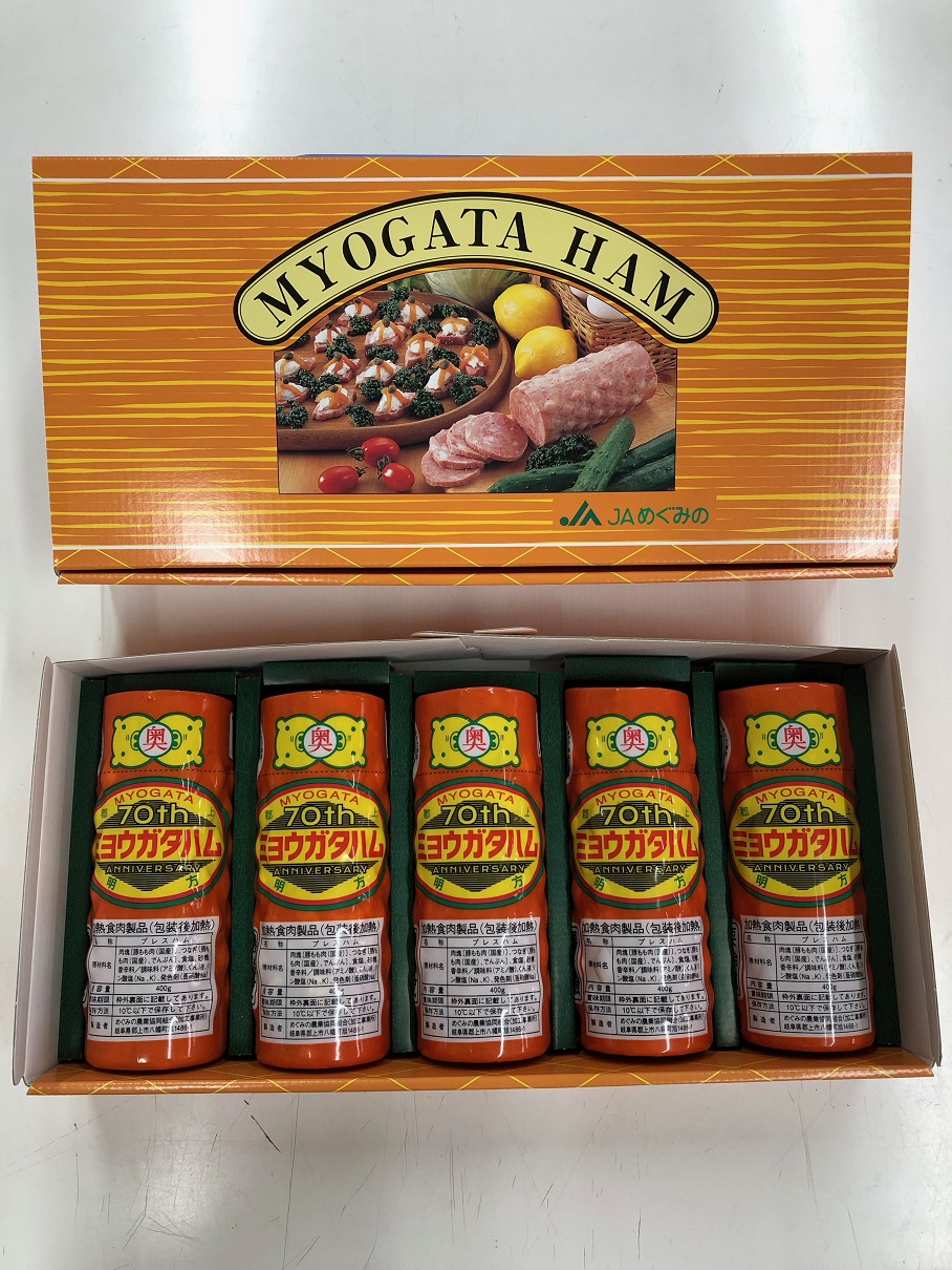 ææ¹ãã 5æ¬ ç¹ç£å å å·¥å 蟲å è±è è ãã€ãŸã¿ ãåŒåœ äŒçµ±è£œæ³