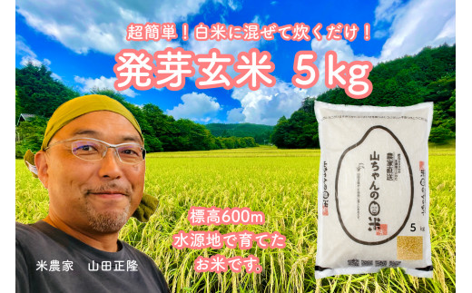 農家直送『山ちゃんの発芽玄米』5kg お米 健康