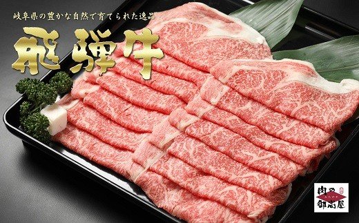 【冷蔵配送】飛騨牛食べ比べセット 豪華14品目 和牛 お肉 牛肉 A5 A4 ロース サーロイン ステーキ すき焼き しゃぶしゃぶ 焼肉 焼豚 煮豚 角煮