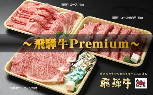 【定期便4回】飛騨牛食べ比べセット 豪華14品目 和牛 お肉 牛肉 A5 ロース サーロイン ステーキ すき焼き しゃぶしゃぶ 焼肉 焼豚 煮豚 角煮