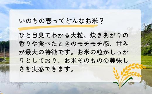 【令和6年産】農薬・化学肥料不使用　オータニ農業の『いのちの壱』精米10kg【10月下旬発送開始】