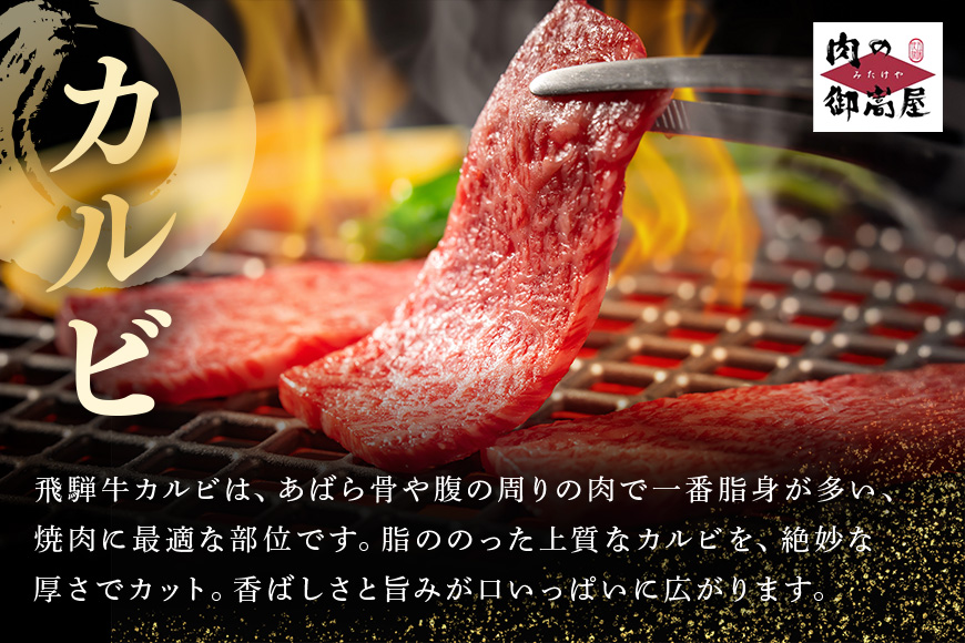 【冷蔵配送】飛騨牛・ボーノポーク・ウインナー 焼肉用食べ比べセット 5～6人前【1.5kg】