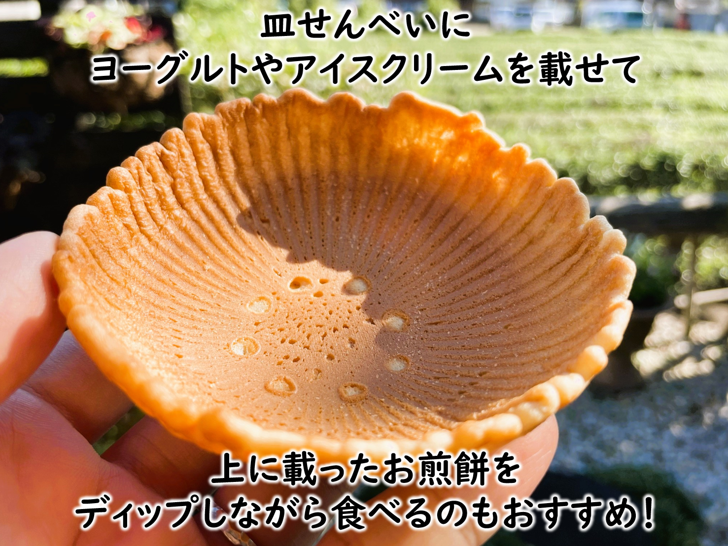 お皿まで食べられる！八百津せんべい「皿せんべい」詰合せ 10種セット 煎餅 おやつ お菓子