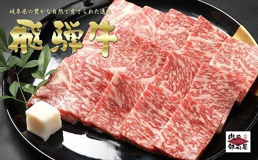 【定期便6回】飛騨牛食べ比べセット 豪華14品目 和牛 お肉 牛肉 A5 ロース サーロイン ステーキ すき焼き しゃぶしゃぶ 焼肉 焼豚 煮豚 角煮
