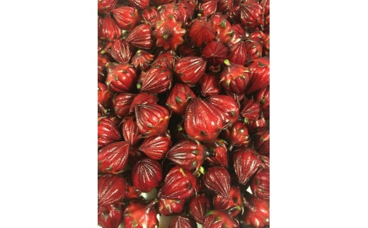 使いやすいプラ容器入り 非加熱生はちみつ 百花 ローゼルハニー ジャム セット 詰め合わせ 純粋はちみつ