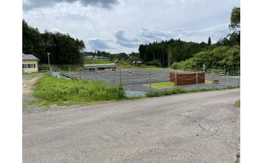 乗馬スクール 20分 4回 1名様 乗馬体験 馬 東海 岐阜県 