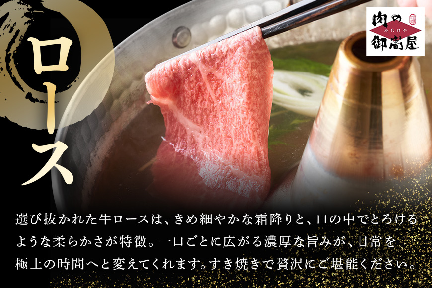 【定期便3回】飛騨牛食べ比べ定期便 カタロース・サーロインステーキ・ロース 和牛 お肉 牛肉 A5 すき焼き しゃぶしゃぶ 