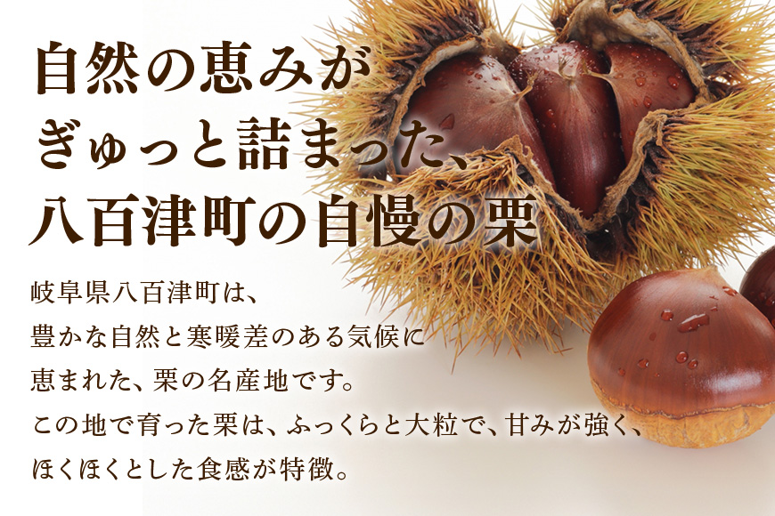 秋冬の銘菓『栗きんとん』15個入　栗金・和菓子・秋の味覚