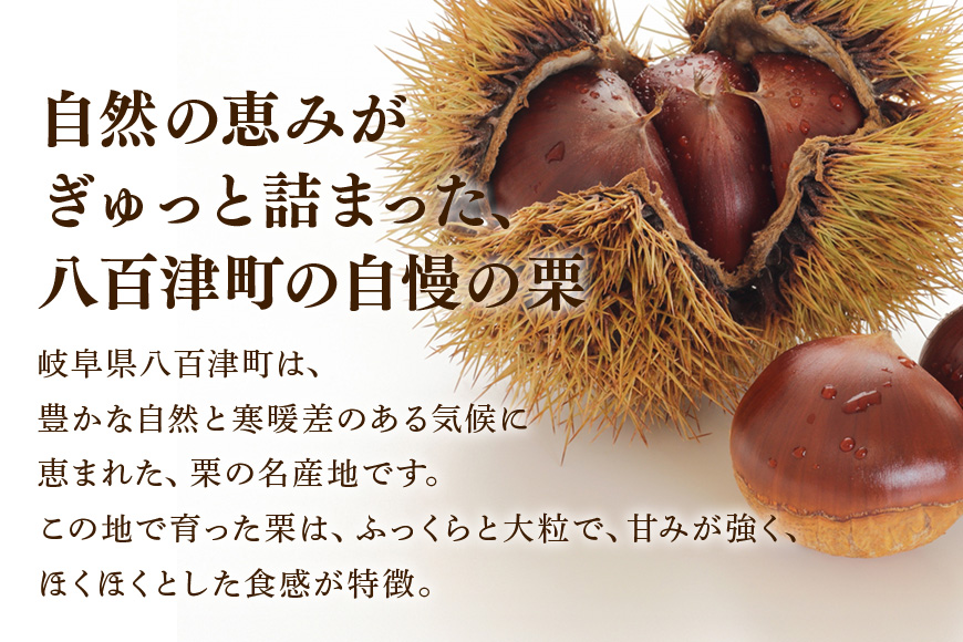 栗ぃむ大福10個入り