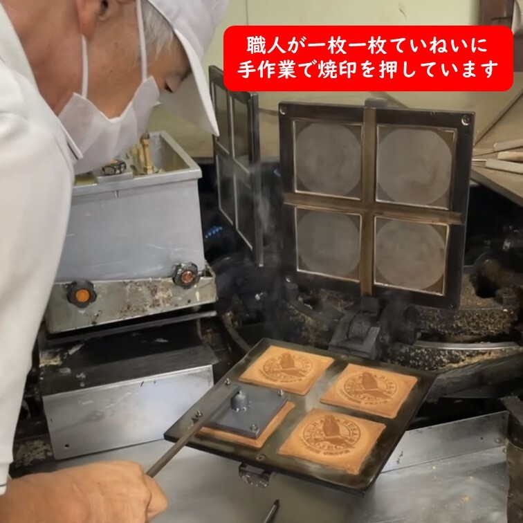 縲舌ワ繝、繝悶し繝励Ο繧ク繧ァ繧ッ繝医 蜈ォ逋セ荳縺帙s縺ケ縺 5陲玖ゥー蜷医○繧サ繝繝 繝上Ζ繝悶し豸磯亟蝗」 豎莠墓虻貎、 繝、繧ェ繝ュ繧コ縺帙s縺ケ縺 辣朱、