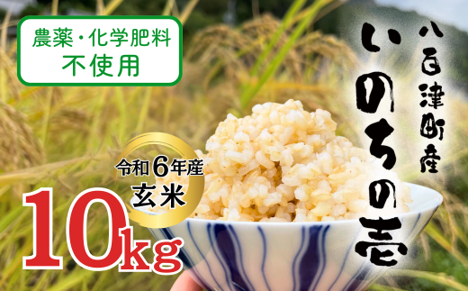 【令和6年産】農薬・化学肥料不使用　オータニ農業の『いのちの壱』玄米10kg