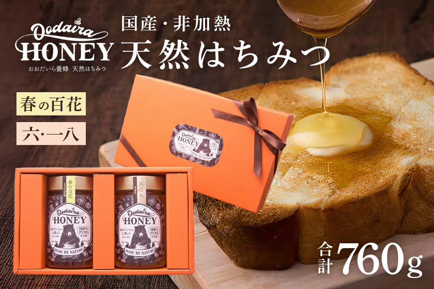 国産天然 非加熱はちみつ 380g 2本セット「春の百花」「6.18」純粋はちみつ 生はちみつ