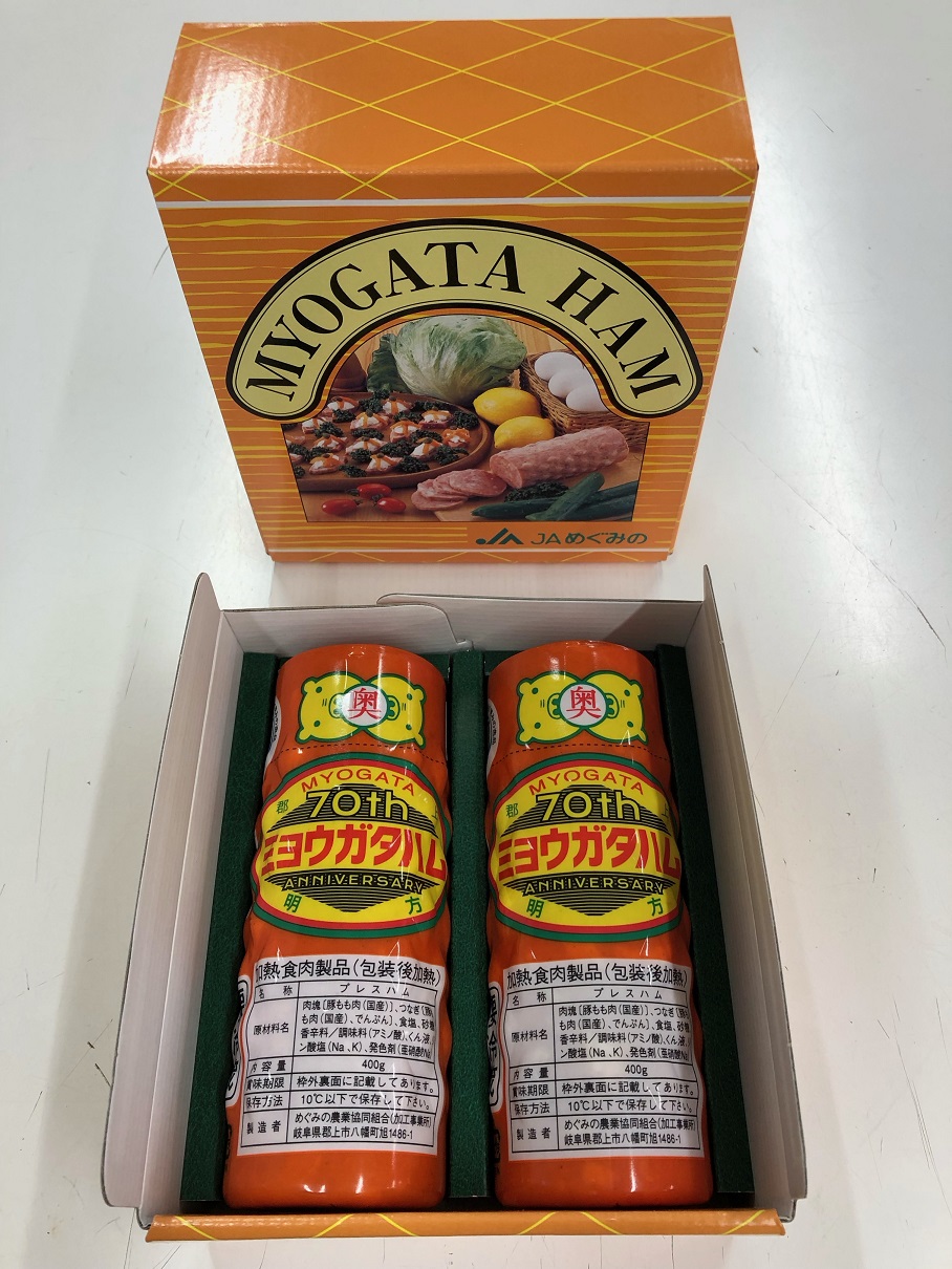 ææ¹ãã 2æ¬ ç¹ç£å å å·¥å 蟲å è±è è ãã€ãŸã¿ ãåŒåœ äŒçµ±è£œæ³