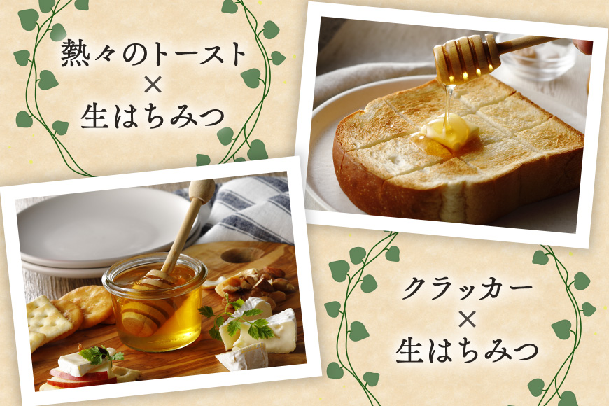 使いやすいプラ容器入り 非加熱生はちみつ 百花 アカシア 300g 各1本 純粋生はちみつ 