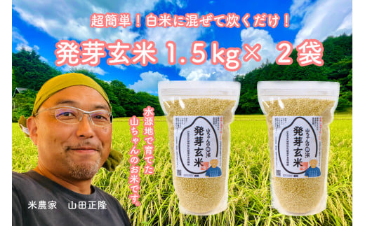 農家直送『山ちゃんの発芽玄米』1500g×2袋 計3kg お米 健康