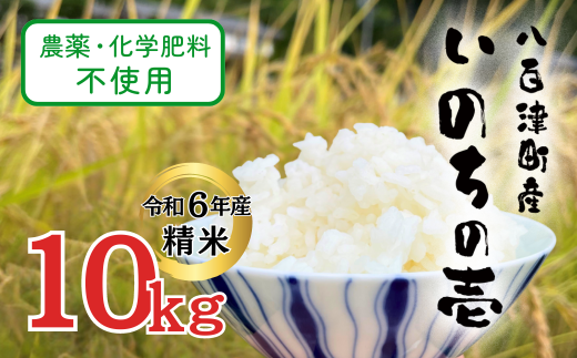 【令和6年産】農薬・化学肥料不使用　オータニ農業の『いのちの壱』精米10kg【10月下旬発送開始】