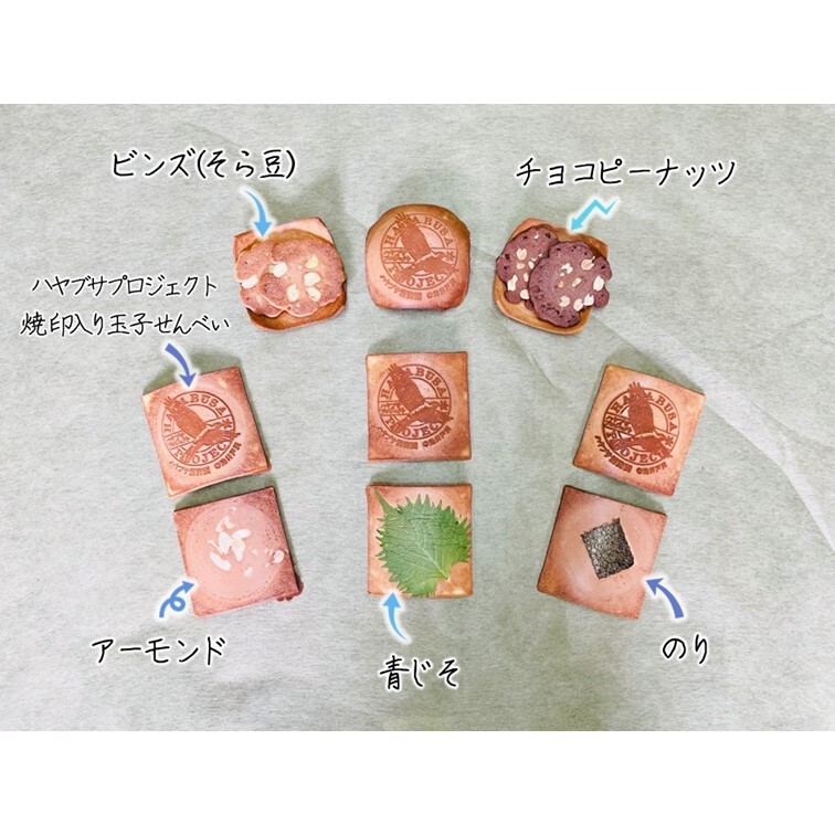 縲舌ワ繝、繝悶し繝励Ο繧ク繧ァ繧ッ繝医 蜈ォ逋セ荳縺帙s縺ケ縺 5陲玖ゥー蜷医○繧サ繝繝 繝上Ζ繝悶し豸磯亟蝗」 豎莠墓虻貎、 繝、繧ェ繝ュ繧コ縺帙s縺ケ縺 辣朱、