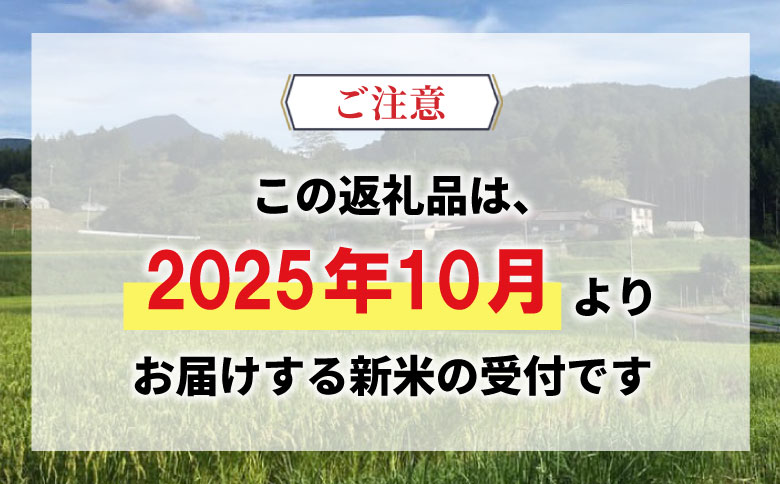 【令和7年度産・先行受付】令和7年産 コシヒカリ 白米 約8.5kg 米 岐阜県 東白川村産 新米 お米 こめ 精米 ご飯 おにぎり 食物繊維 低GI 返礼品 ふるさと納税 9000円