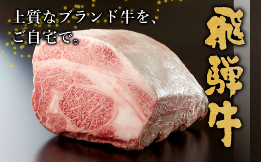 飛騨牛 サーロインステーキ 400g 200g×2枚 牛肉 和牛 肉 ステーキ 東白川村 岐阜 贅沢 霜降り 養老ミート 25000円