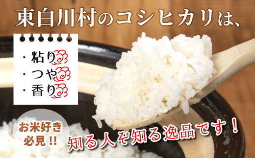 【令和7年度産・先行受付】令和7年産 コシヒカリ 玄米 約10kg 米 岐阜県 東白川村産 新米 お米 こめ 精米 ご飯 おにぎり 食物繊維 低GI 返礼品 ふるさと納税 9000円