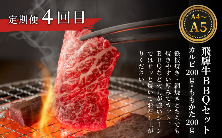 飛騨牛 定期便 全6回 約8.44kg 8人前 すき焼き しゃぶしゃぶ ステーキ 焼肉 BBQ ロース カタロース ロースステーキ モモ カタ 贅沢 贈り物 6ヶ月 定期 おすすめ 選べる 人気 飛騨 ブランド牛 肉のひぐち