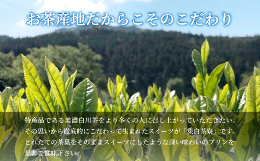 【冷蔵配送】東白茶寮 煎茶プリン 4個 煎茶プリン 贈り物 東白川村 美濃白川茶 煎茶 お茶 お茶スイーツ 日本茶 緑茶 和スイーツ 贅沢 食べ比べ ギフト