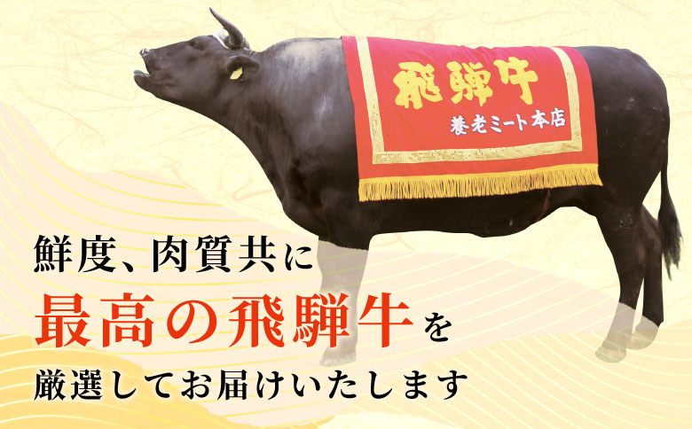 飛騨牛 希少部位 ヒレステーキ 900g 150g×6枚 牛肉 和牛 肉 ステーキ ヒレ フィレ 最高級部位 赤身 肉 牛 牛肉 鉄板焼き お祝い 贈答 ギフト 贈り物 ふるさと納税 東白川村 岐阜 贅沢 霜降り 養老ミート