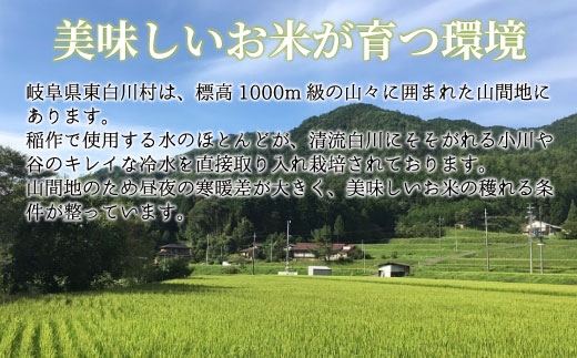 【令和7年度産・先行受付】令和7年産 コシヒカリ 白米 約4.25kg 米 岐阜県 東白川村産 新米 お米 こめ 精米 ご飯 おにぎり 食物繊維 低GI 返礼品 ふるさと納税 9000円