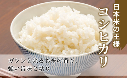 【令和7年度産・先行受付】令和7年産 コシヒカリ 玄米 約10kg 米 岐阜県 東白川村産 新米 お米 こめ 精米 ご飯 おにぎり 食物繊維 低GI 返礼品 ふるさと納税 9000円