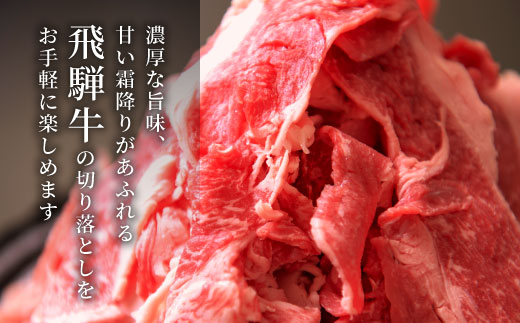 飛騨牛 切り落とし 280g  牛肉 和牛 肉 お肉 切落し 不揃い にく 切り落し 東白川村 ブランド牛 国産 人気 おすすめ 薄切り きりおとし 岐阜 すき焼き お取り寄せ 冷凍 養老ミート