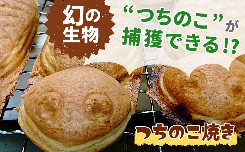 あんこたっぷり！草大福餅＆つちのこ焼き 計16個 冷凍 手作り 草餅 草大福餅 よもぎ 蓬餅 ヨモギ あんこ つぶあん 小豆 あずき 大福 餅 もち 餅米 もち米 たい焼き 焼き菓子 和菓子 個包装 スイーツ 和スイーツ お菓子 おやつ 東白川村 10000円 一万円