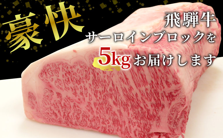 【冷蔵配送】 飛騨牛 サーロインブロック 5kg ローストビーフ ステーキ 焼肉 A5 A4 サーロインステーキ サーロイン ブロック ブロック肉 塊肉 国産 牛 冷凍 和牛 牛肉 白川 ギフト 贈答 お肉 肉 東白川村 岐阜 飛騨 贅沢 霜降り 赤身 肉のひぐち