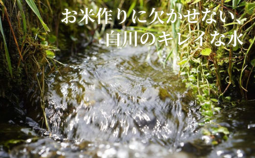 【令和7年度産・先行受付】令和7年産 コシヒカリ 五分つき米 約9kg 米 五分つき 五分精米 五分つき精米 分つき精米 岐阜県 東白川村産 新米 お米 こめ 精米 ご飯 おにぎり 食物繊維 低GI 返礼品 ふるさと納税 9000円