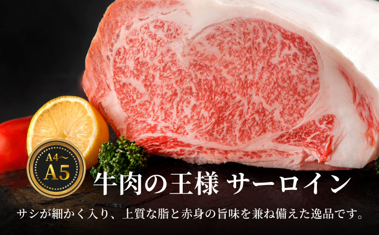 【冷蔵配送】 飛騨牛 サーロインブロック 5kg ローストビーフ ステーキ 焼肉 A5 A4 サーロインステーキ サーロイン ブロック ブロック肉 塊肉 国産 牛 冷凍 和牛 牛肉 白川 ギフト 贈答 お肉 肉 東白川村 岐阜 飛騨 贅沢 霜降り 赤身 肉のひぐち