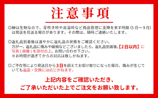 【定期便・全3回】 神棚用 国産榊 さかき 2束 3ヶ月連続でお届け お供え お祀り 国産 天然 新鮮 長持ち 天然榊 東白川村