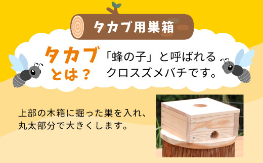 東白川村 タカブ用飼育箱 蜂 巣箱 タカブ 蜂の子 木箱 養蜂 ハチミツ 蜂蜜 クロスズメバチ 飼育