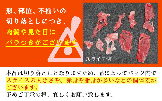 飛騨牛 切り落とし 600g 牛肉 和牛 肉 お肉 切落し 不揃い にく 切り落し ブランド牛 国産 