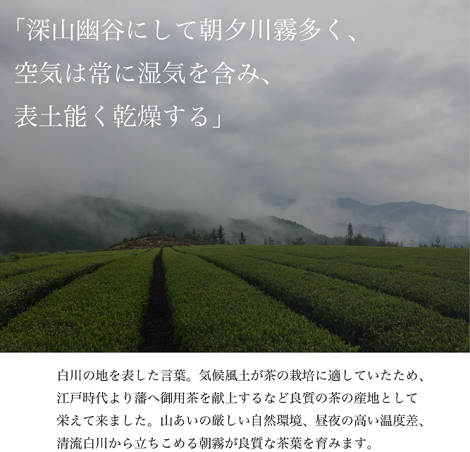 çœå·è¶ãèŽ
æ²¢ã«é£²ã¿æ¯ã¹ïŒ çœå·è¶ è©°ãåããã»ãã 3çš® ãè¶ ç
è¶ ç·è¶ çŸæ¿çœå·è¶ æ¥æ¬è¶ è¶è ãã£ãŒ åœç£ å²éç æ±çœå·æ ãè¶ã»ãã ç¹ç£å åç£å éè¶ ãåãå¯ã ç£å°çŽé 蟲è¬äžäœ¿çš æ¬æ Œ äžå å³éž äººæ° èŽãç© ã®ãã èŽç ãã¬ãŒã³ã 12000å