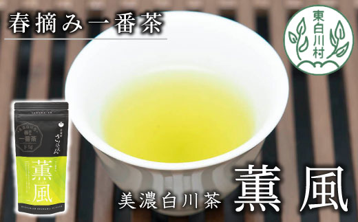 白川茶 茶蔵園 上煎茶 「薫風-くんぷう-」 1袋 80g