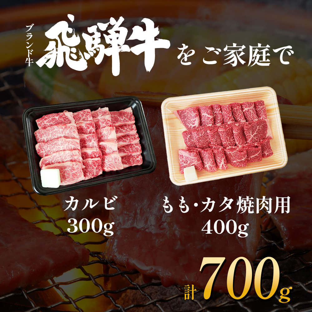 【7営業日以内発送】 飛騨牛 BBQセット (カルビ300g＋もも・カタ焼肉用400g) 計700g A5 A4 国産 牛 冷凍 和牛 牛肉 カルビ もも モモ カタ 肩 かた 豪華 ギフト 贈答  にく お肉 肉 東白川村 岐阜 飛騨 贅沢 霜降り 赤身 肉のひぐち