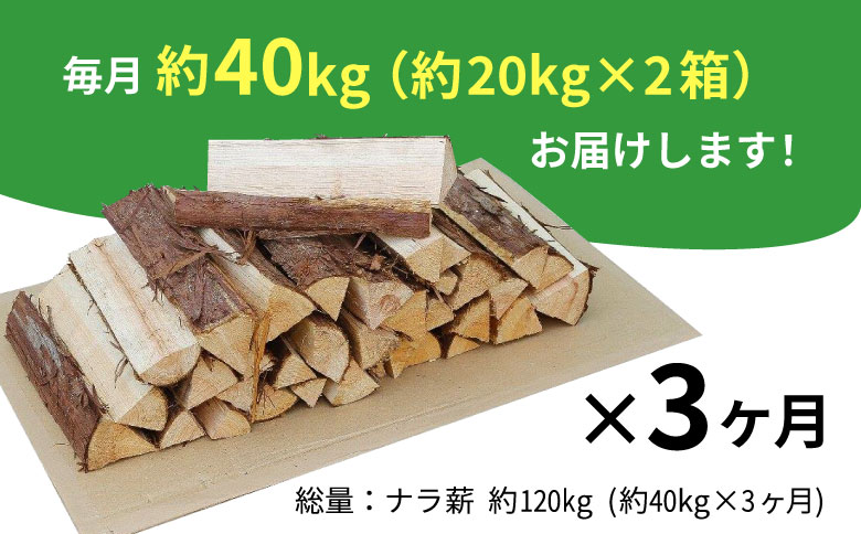 【3ヶ月定期便】なら薪 中〜大割 約40kg ( 約20kg×2箱 ) 計120kg 3回 3ヶ月 中割 大割 薪ストーブ アウトドア キャンプ 焚火 暖炉 楢 ナラ 薪 まき 雑貨 日用品 定期便 定期 選べる 発送月 毎月届く 森林 木 木材 東白川村